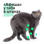 Позируй Псина