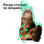 Позируй Псина