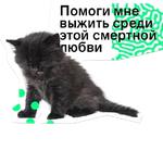 Позируй Псина
