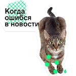 Позируй Псина