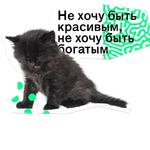 Позируй Псина