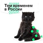 Позируй Псина