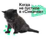 Позируй Псина