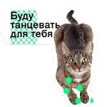 Позируй Псина