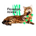 Позируй Псина