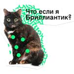 Позируй Псина