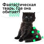 Позируй Псина
