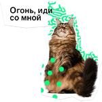 Позируй Псина