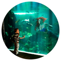 Падшие Принцессы