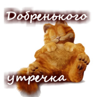 Приветствия
