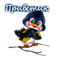 Приветствия