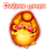 Приветствия