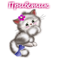 Приветствия