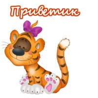 Приветствия