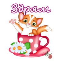 Приветствия