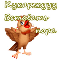 Приветствия