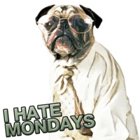 Pugsters