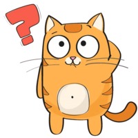 Рыжий котик