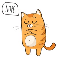 Рыжий котик