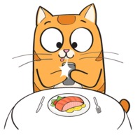 Рыжий котик