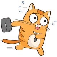 Рыжий котик