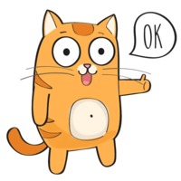 Рыжий котик