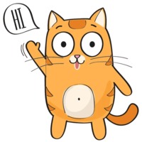 Рыжий котик