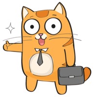 Рыжий котик