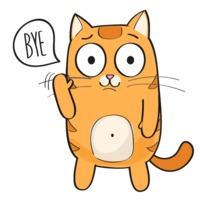 Рыжий котик