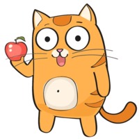 Рыжий котик