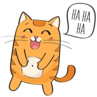 Рыжий котик
