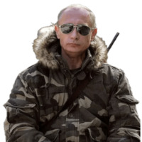 Отряды Путина