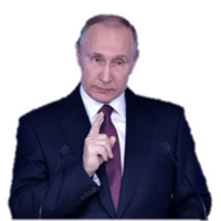 Отряды Путина