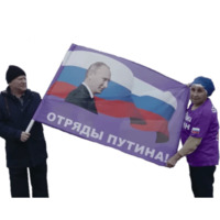 Отряды Путина