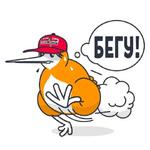 QIWI на каждый день