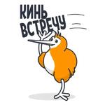 QIWI на каждый день