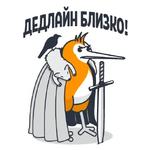 QIWI на каждый день