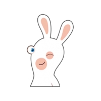 Rabbits