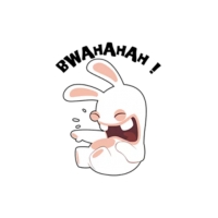 Rabbits