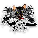 Raccoon