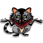 Raccoon