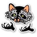 Raccoon