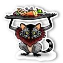 Raccoon