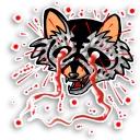 Raccoon