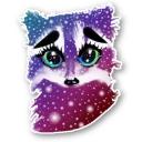 Raccoon