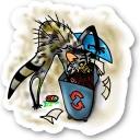 Raccoon