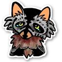 Raccoon