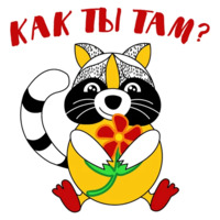 Енот-задрот