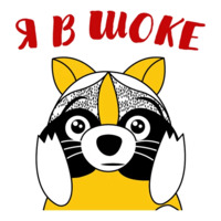 Енот-задрот