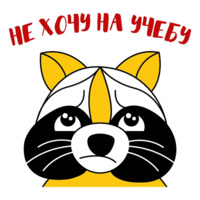 Енот-задрот